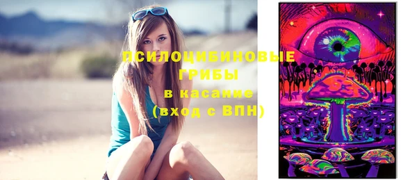 дмт Зеленодольск