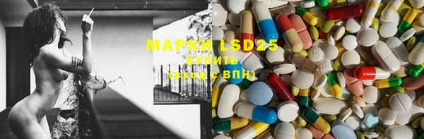 ПСИЛОЦИБИНОВЫЕ ГРИБЫ Иннополис