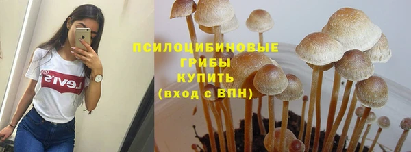 дмт Зеленодольск