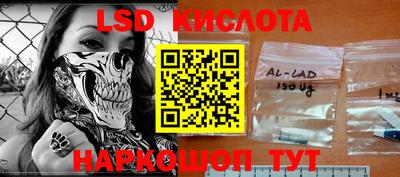 крисы Славгород