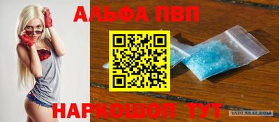 крисы Славгород
