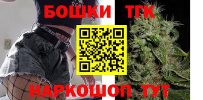крисы Славгород