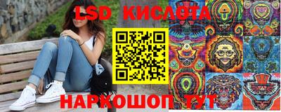 крисы Славгород