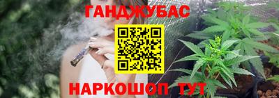 крисы Славгород