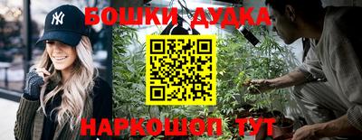 наркотики Сланцы