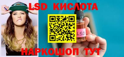 крисы Славгород