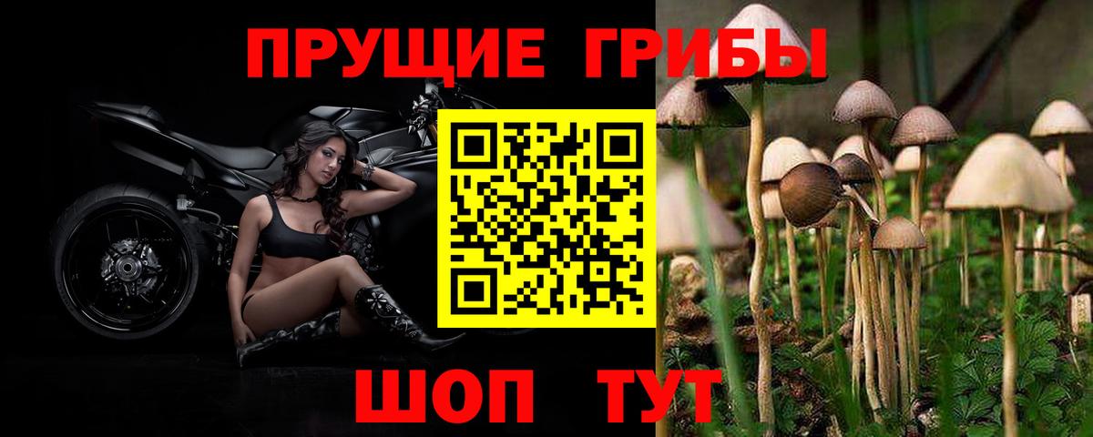 Галлюциногенные грибы GOLDEN TEACHER Снежинск