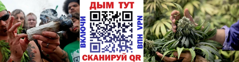 наркота  Снежинск  Канабис OG Kush 