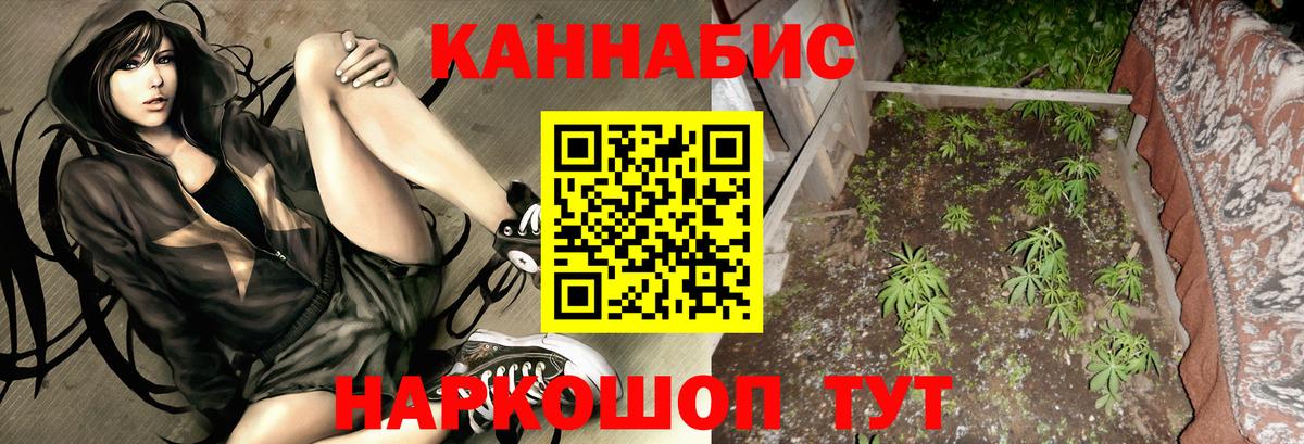 Снежинск  Бошки марихуана марихуана  Бошки марихуана SATIVA & INDICA  Вход с VPN  Марихуана VHQ 